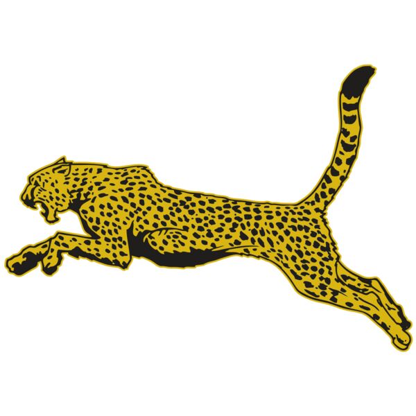 AR CHEETAH 10 RC Thumbnail