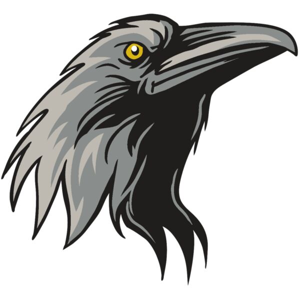 AR31 RAVEN 01 RQC Thumbnail